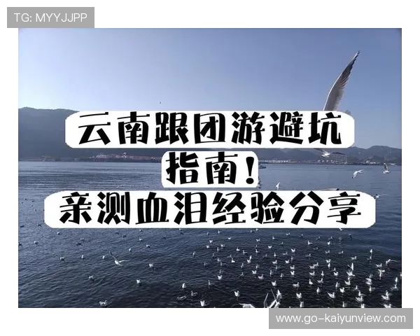 免费体育直播避坑指南 彩票高频玩法防骗揭秘